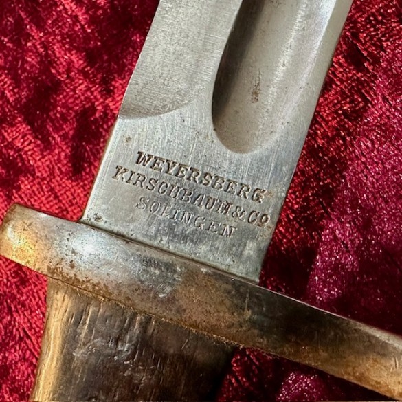 Chilean Bayonet 4